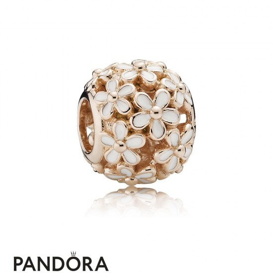 Pandora Nature Charms Darling Daisy Meadow Charm Pandora Rose White Enamel Jewelry