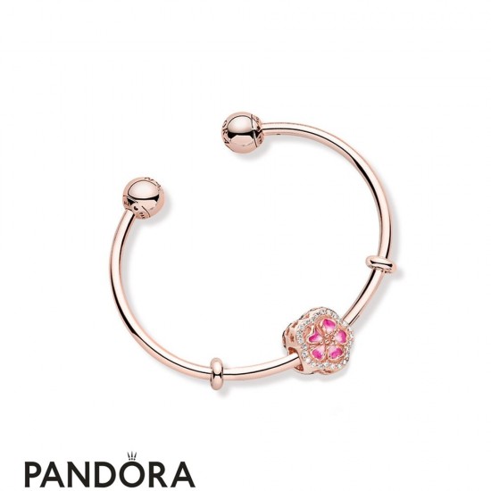 Women's Pandora Peach Full Of Flowers Bracelet Jewelry