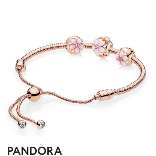 Pandora Rose Magnolia Bracelet Gift Set Jewelry Jewelry