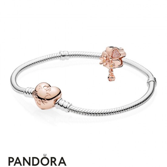 Pandora Rose Wildflower Meadow Gift Set Jewelry