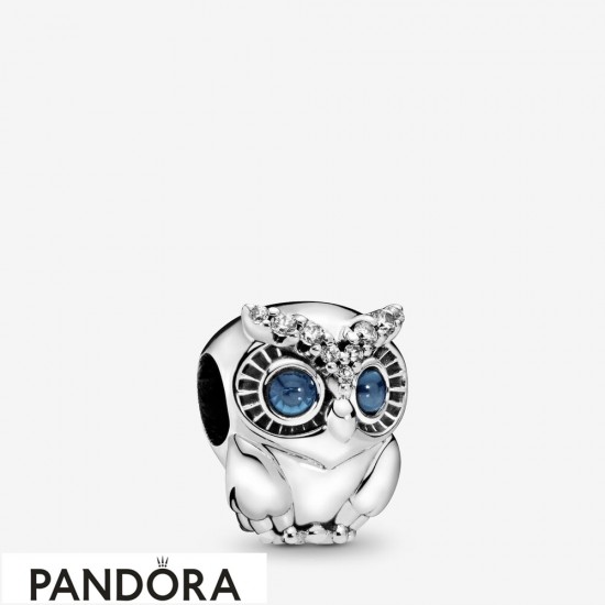 Women's Pandora Sparkling Owl Charm Jewelry