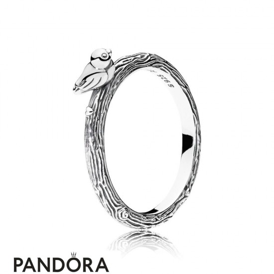 Women's Pandora Spring Bird Ring Jewelry