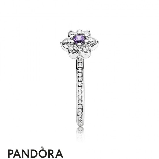 Pandora Rings Jewelry Forget Me Not Ring Purple Jewelry